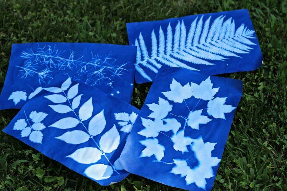 Sun Printing
